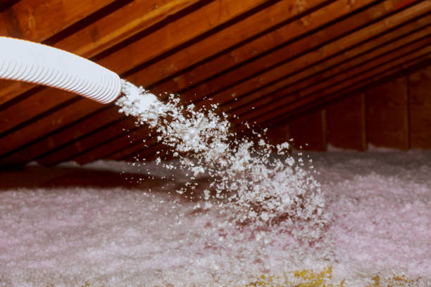 Best Insulation Materials and Products in Biola, CA